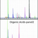 Quantificazione di 54 acidi organici