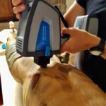 La forza della spettroscopia FTIR portatile nella conservazione dell’arte – Agilent 4300 FTIR
