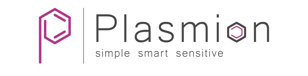 Plasmion